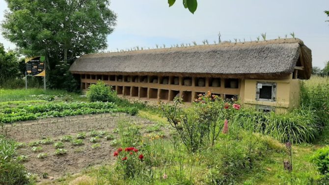 How France’s amazing murs à abeilles are helping the country’s bees