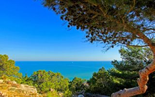 Learn about the wines of Occitanie at an online wine school