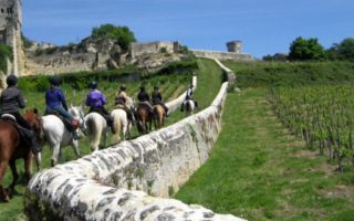 Saddle up! 6 dreamy horse riding holiday destinations in France