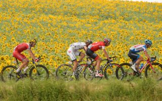 July 2015: events in France