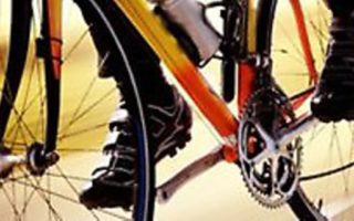 The pound’s tour de force