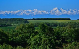 Who Gers wins! Why bold Brits move to this part of France