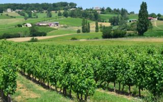 What is it like to move to France on your own?