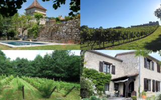 French Property: 9 Vineyards for sale in France for every budget