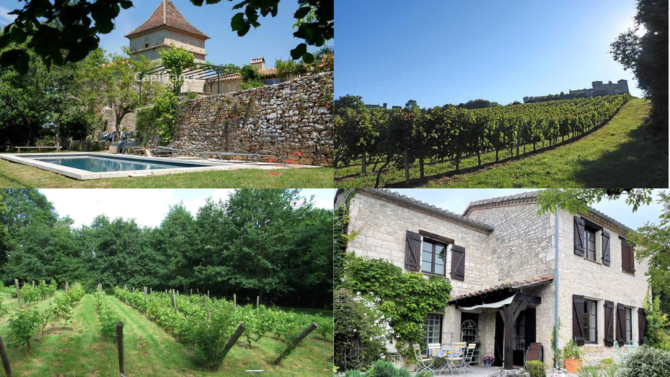 French Property: 9 Vineyards for sale in France for every budget