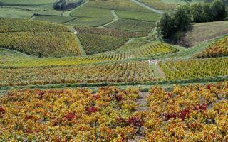 November: events in France