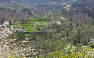 What is it really like to live in rural France?
