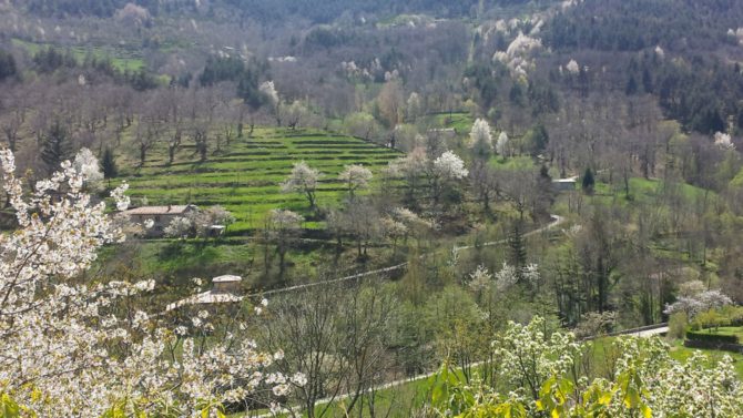 What is it really like to live in rural France?