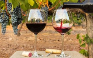 Ten fun facts about Beaujolais Nouveau Day
