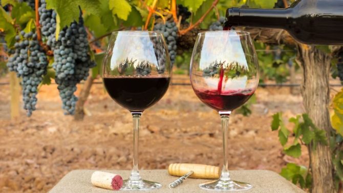 Ten fun facts about Beaujolais Nouveau Day