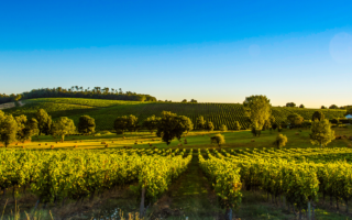 Bordeaux triumphs in World’s Best Vineyards 2021 ranking