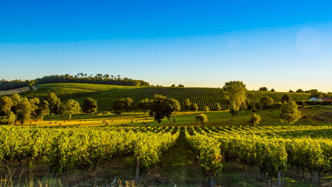 Bordeaux triumphs in World’s Best Vineyards 2021 ranking
