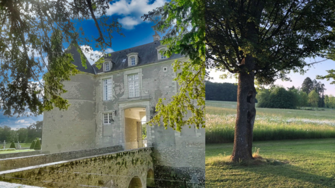 3 Chateau apartments for sale under €200,000