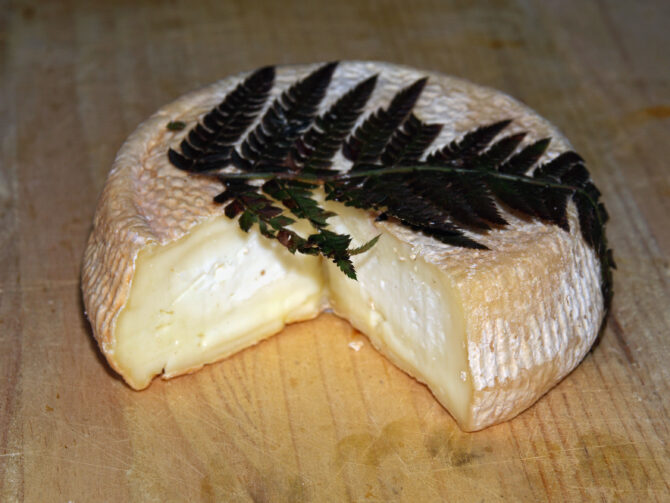 A Filetta: Corsican Cheese