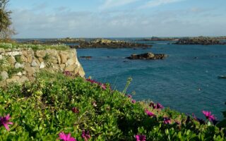 French Department Focus: Manche, Normandy