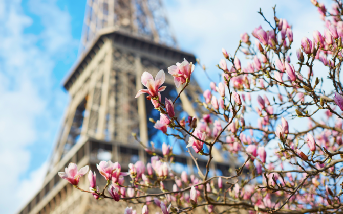 Stephen Clarke: Spring in Paris