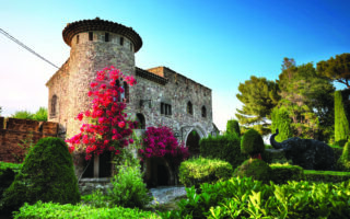 Beautiful Bougainvillea at Château de la Napoule