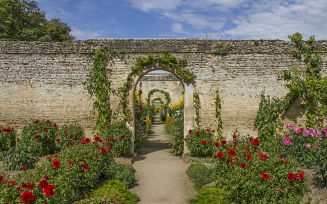 Gardening in August: What to do and what to plant?