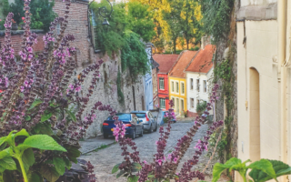 Janine Marsh: Do I feel French?