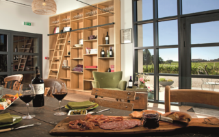 Real Life: We moved to France and became winemakers