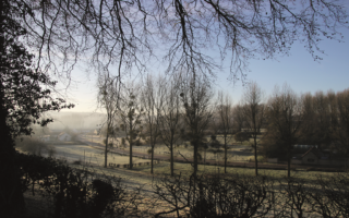 The Good Life: Cow Wrangling in the French Countryside
