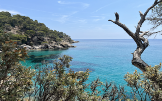 Discover the Joys of Nature at Domaine du Rayol