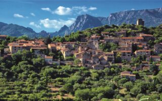 Interview with a French estate agent: Freddy Rueda