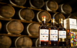 Excellence is Cultivated: The Legacy of Barbancourt Distillery