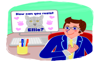 Ian Moore: Rescuing pets in France